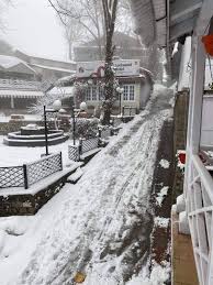 Snow-covered trees and road in