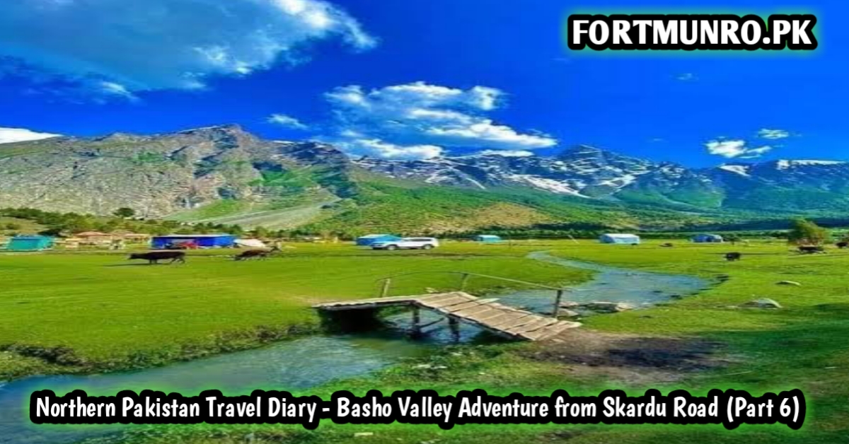 Basho Valley scenic mountains and forests near Skardu Road Gilgit Baltistan