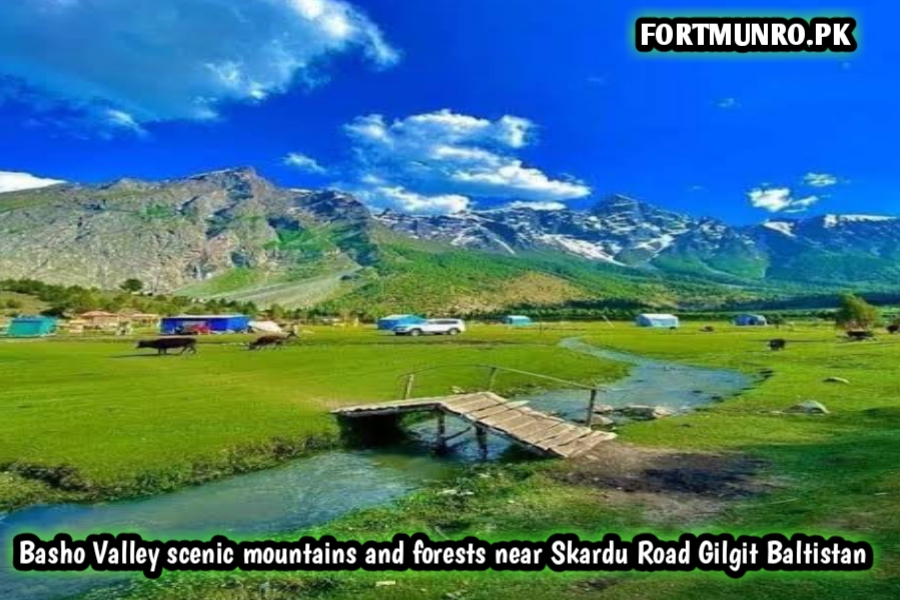 Basho Valley scenic mountains and forests near Skardu Road Gilgit Baltistan