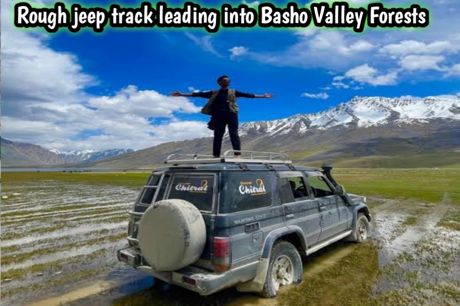 Rough jeep track leading into Basho Valley forests