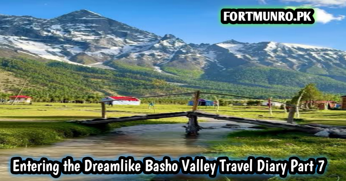 Basho Valley in Skardu – Green meadows, flowing streams, and snow-capped mountains