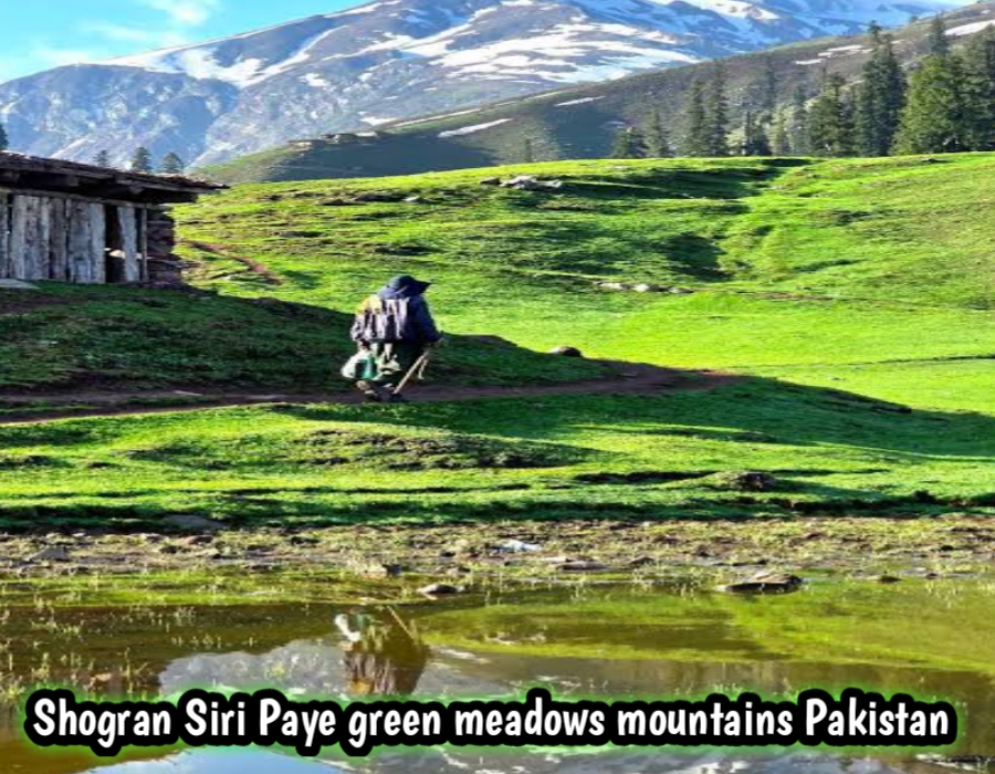 Shogran Siri Paye green meadows mountains Pakistan