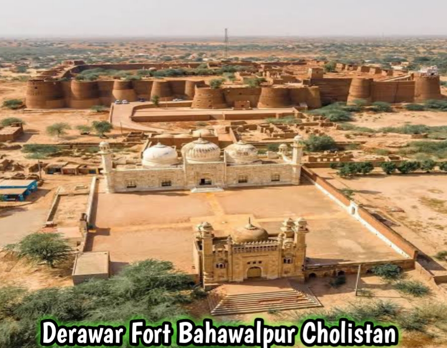 This image captures the magical sunset in the desert, where golden sunlight creates a breathtaking and peaceful atmosphere.