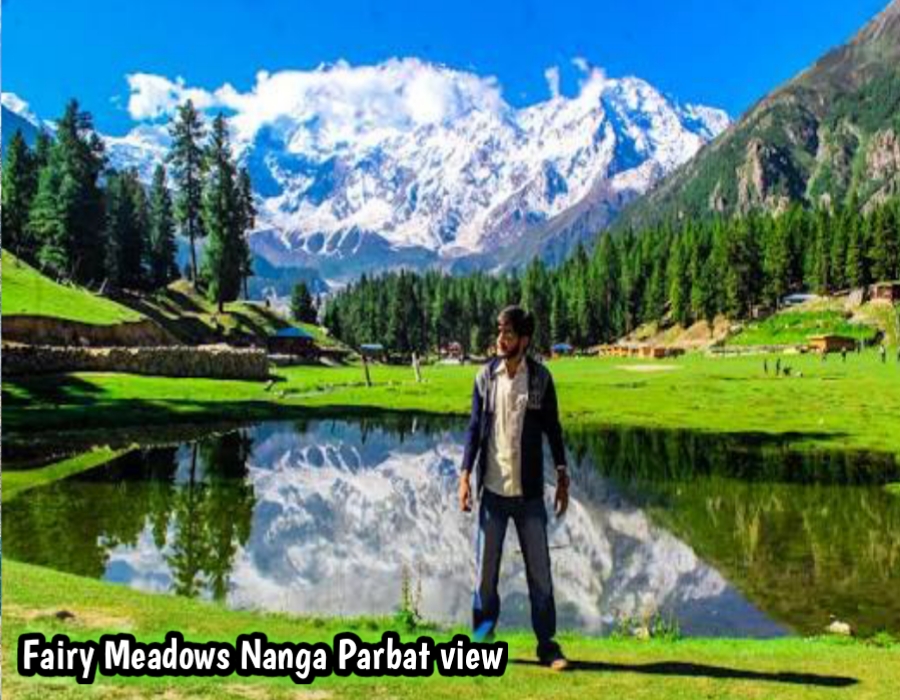 Fairy Meadows Nanga Parbat view camping and green fields Pakistan
