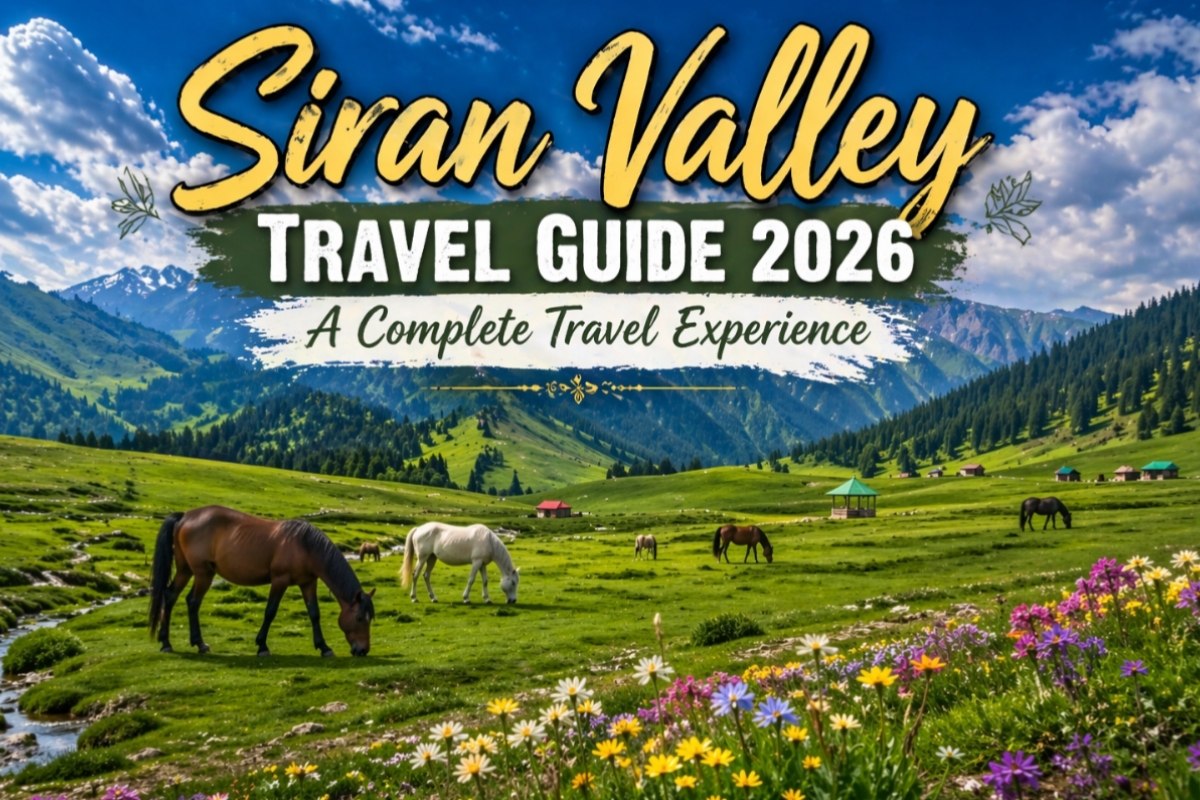 Siran Valley Baleja Meadows lush green fields with horses and mountains scenic view Pakistan