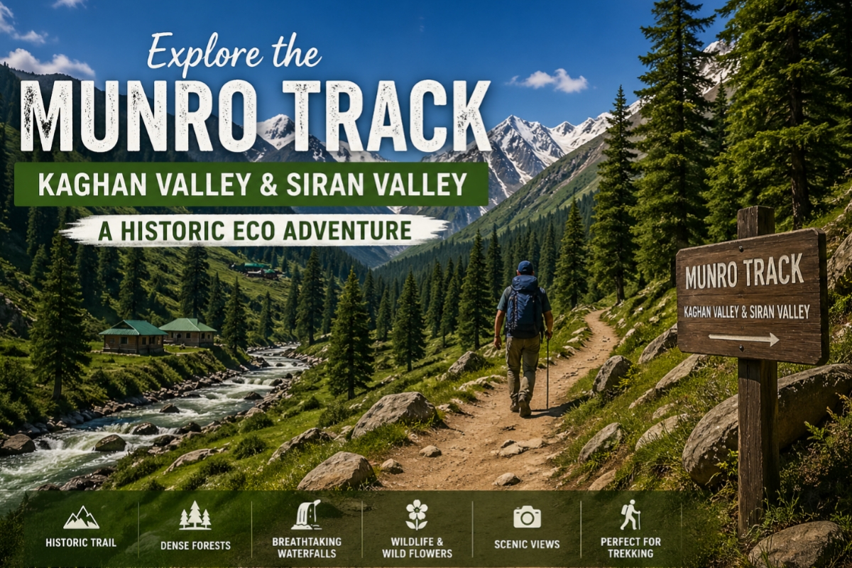 Munro Track Kaghan Valley scenic view with mountains, river, forest trail and hiker