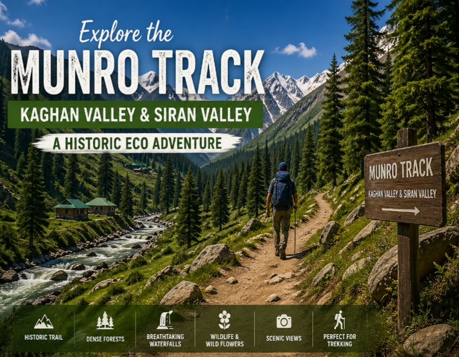 Munro Track Kaghan Valley scenic view with mountains, river, forest trail and hiker