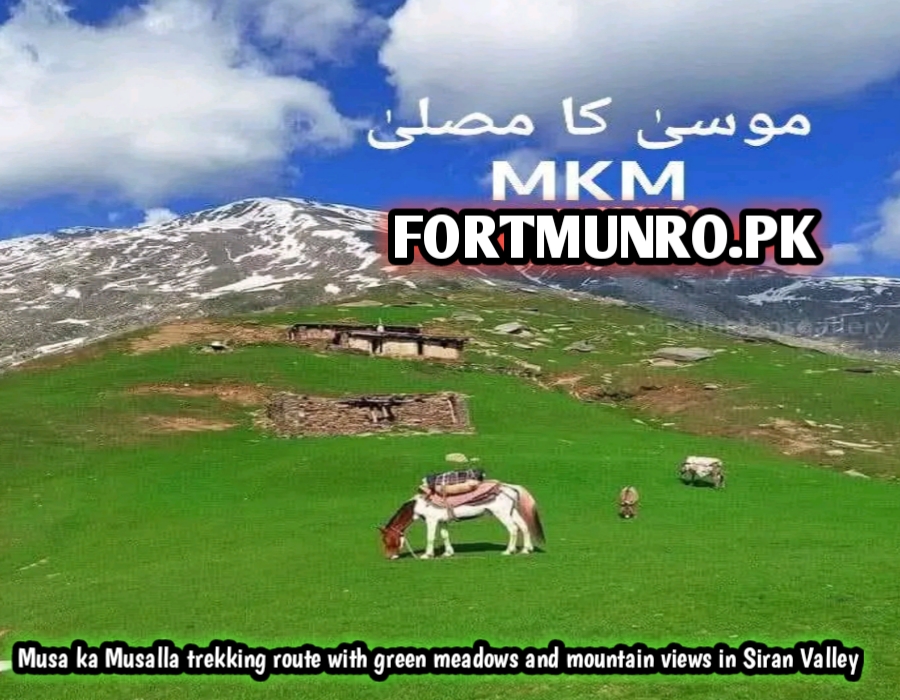 Musa ka Musalla trekking route with green meadows and mountain views in Siran Valley