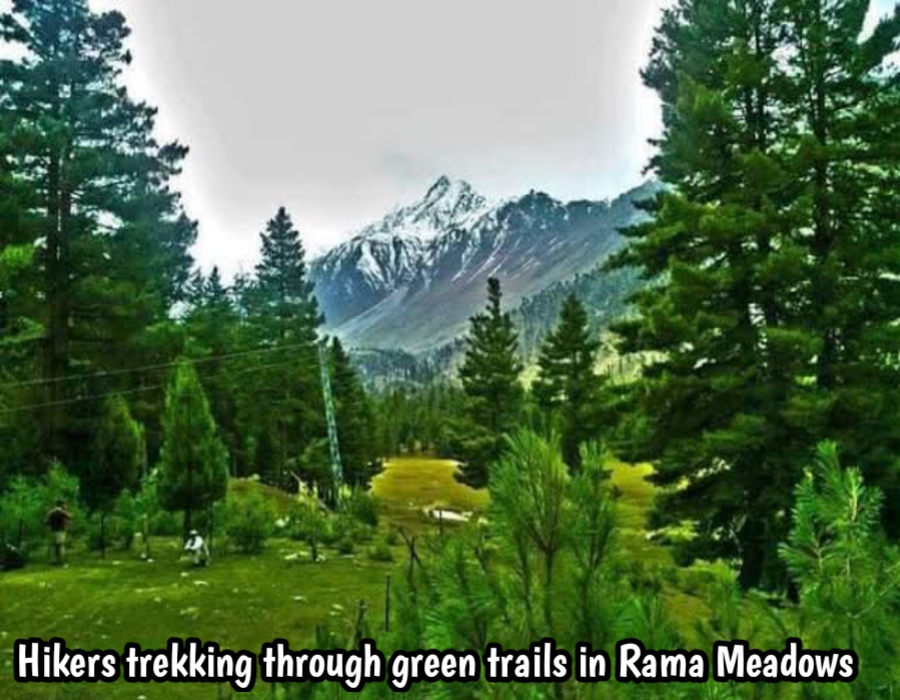 Hikers trekking through green trails in Rama Meadows