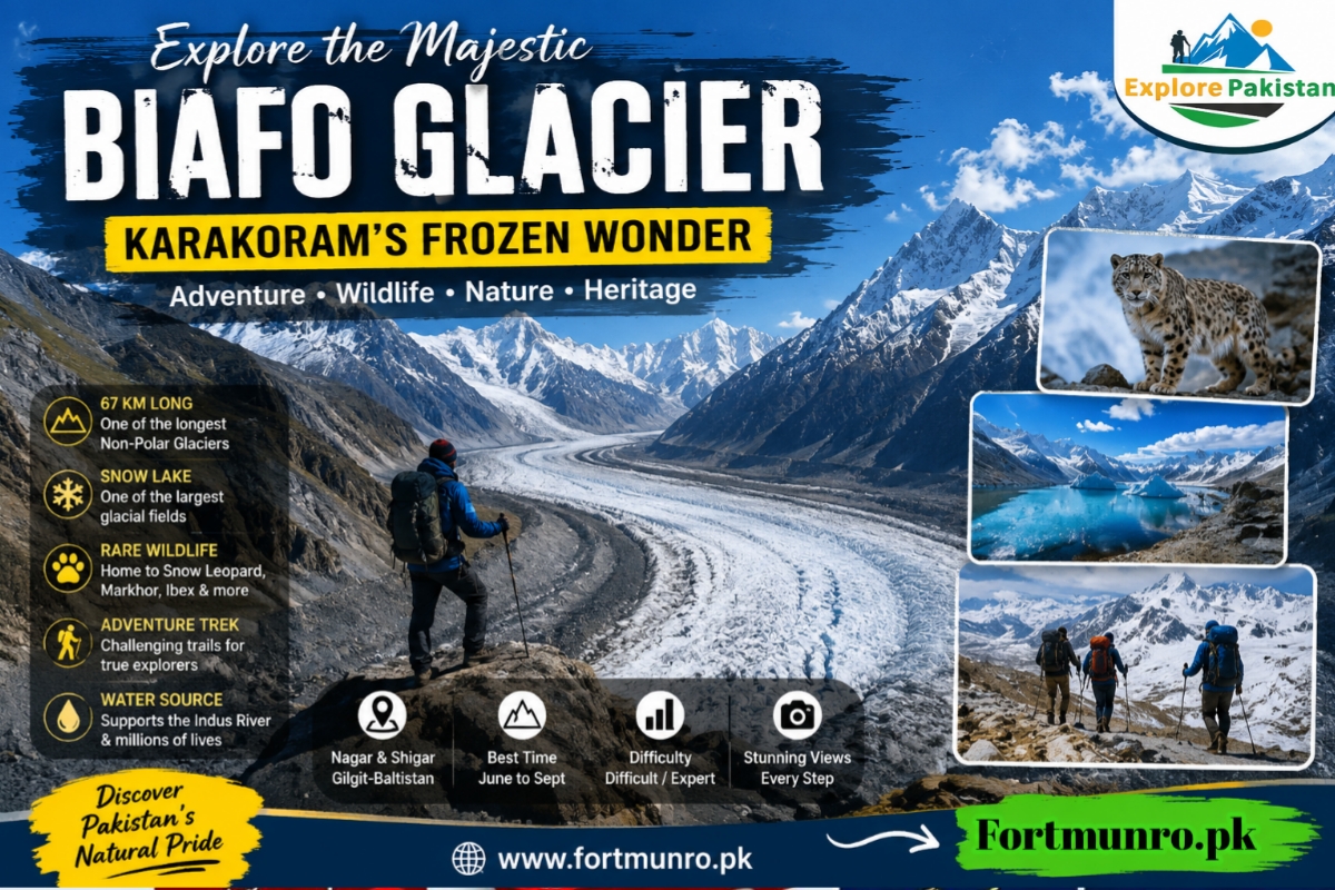 Panoramic view of Biafo Glacier in Gilgit-Baltistan surrounded by snowy Karakoram mountains
