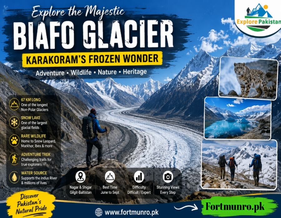 Panoramic view of Biafo Glacier in Gilgit-Baltistan surrounded by snowy Karakoram mountains